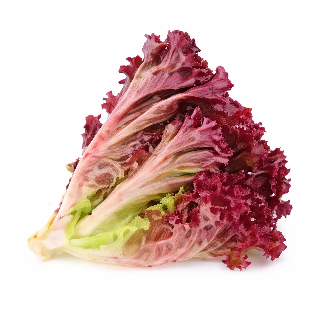 Lechuga Morada