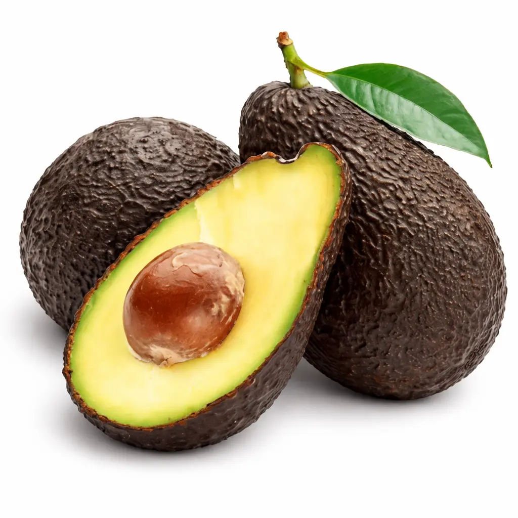 Palta Hass